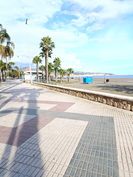 paseo 